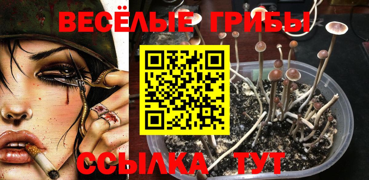 Ялуторовск  Псилоцибиновые грибы мухоморы  Вход с VPN 
