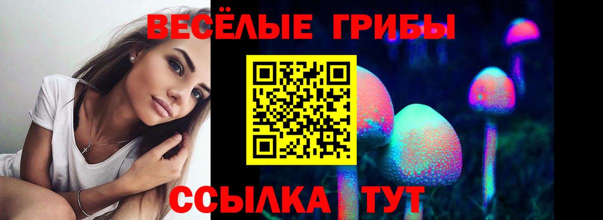 Псилоцибиновые грибы GOLDEN TEACHER Ялуторовск